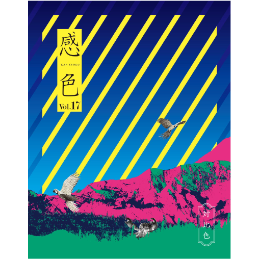 感色 Vol.17 「対比色」