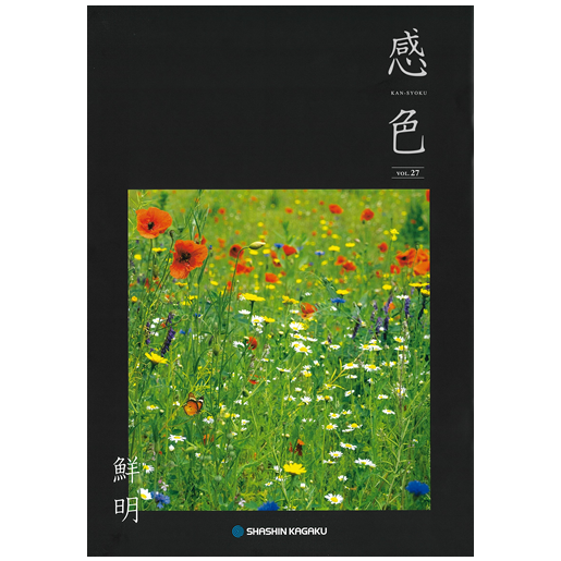 感色 Vol.27 「鮮明」